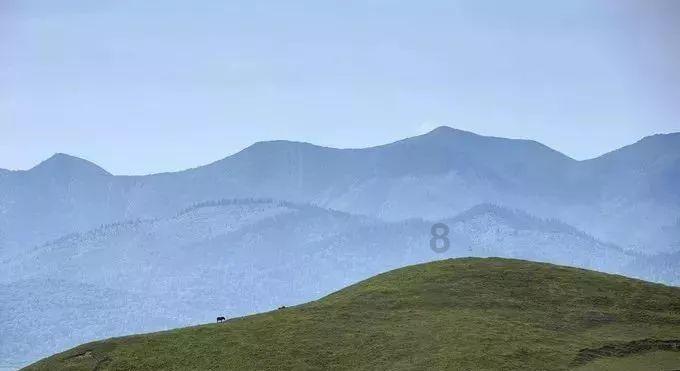 原创大江大河3：樊净看不起杨巡学历低，却爬上杨巡的床，原因太羞耻