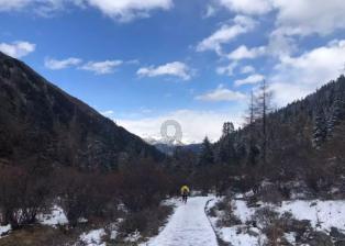 复古车循环赛